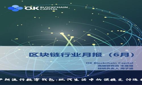 伊朗流行數(shù)字錢包：現(xiàn)代生活中的便捷支付選擇