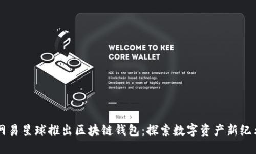 網(wǎng)易星球推出區(qū)塊鏈錢包：探索數(shù)字資產(chǎn)新紀(jì)元