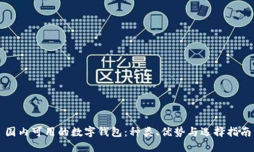 國(guó)內(nèi)可用的數(shù)字錢包：種類、優(yōu)勢(shì)與選擇指南
