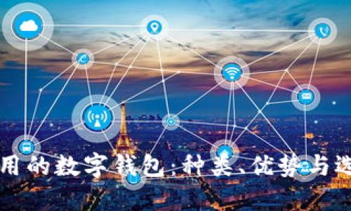 國(guó)內(nèi)可用的數(shù)字錢包：種類、優(yōu)勢(shì)與選擇指南