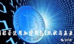 中國能否使用加密錢包？