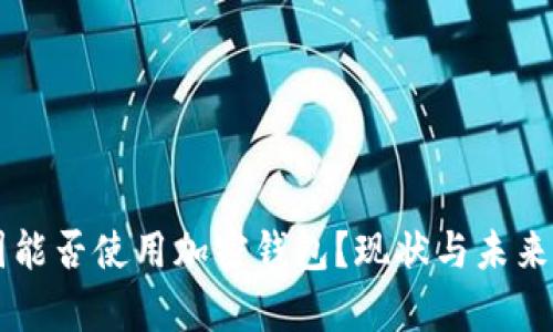 中國能否使用加密錢包？現(xiàn)狀與未來分析