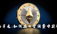 數(shù)字錢包的羊毛：如何在