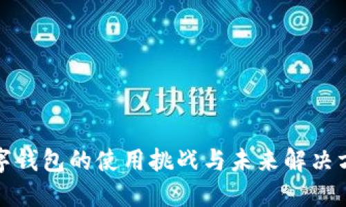 數(shù)字錢包的使用挑戰(zhàn)與未來(lái)解決方案