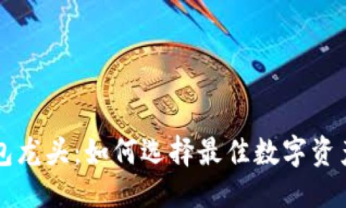 與關(guān)鍵詞

區(qū)塊鏈錢(qián)包龍頭：如何選擇最佳數(shù)字資產(chǎn)存儲(chǔ)方案