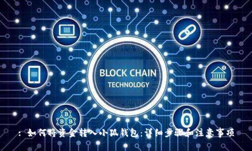 : 如何將資金轉入小狐錢(qián)包：詳細步驟和注意事項