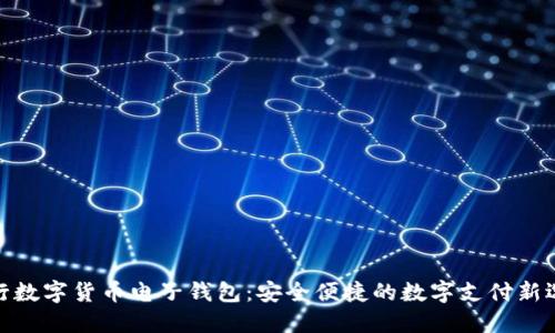 建行數(shù)字貨幣電子錢包：安全便捷的數(shù)字支付新選擇