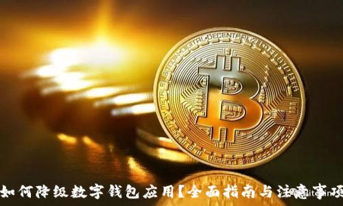   
如何降級(jí)數(shù)字錢(qián)包應(yīng)用？全面指南與注意事項(xiàng)
