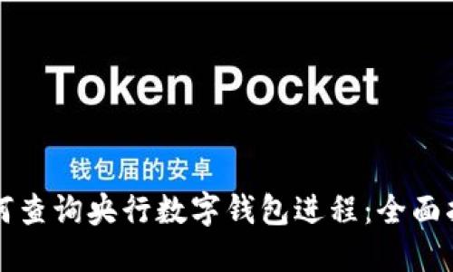 如何查詢央行數(shù)字錢包進(jìn)程：全面指南