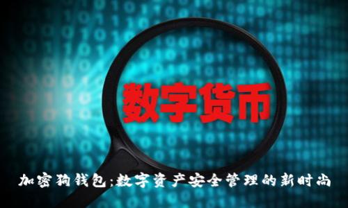 加密狗錢包：數(shù)字資產(chǎn)安全管理的新時尚