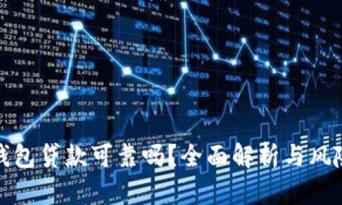 數(shù)字錢包貸款可靠嗎？全面解析與風(fēng)險防范