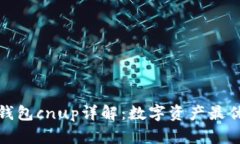 小狐錢(qián)包c(diǎn)nup詳解：數字資